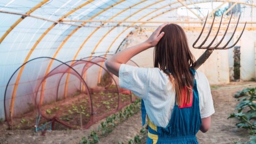 Подготовка теплицы к зимнему сезону