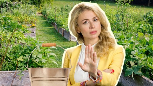 �� ���������� ��� �������� � ������� ���������: �������� ���� ������