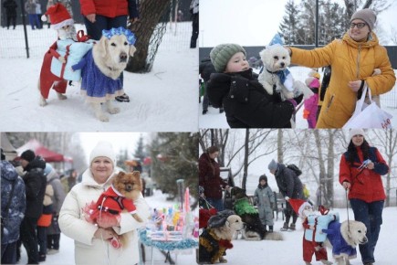 Пёс-парад прошёл в Красноярске
