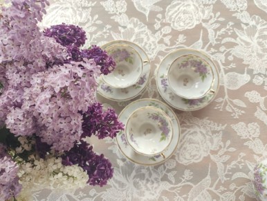 �������� ��� �������-��������: ��������� ������� �� 100 ������