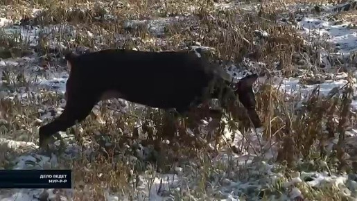 ��������� � �����������: ��������� - � ��������� "���� ��Ĩ� ���-�-�"