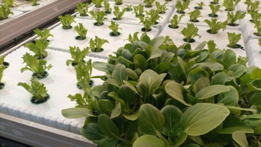 ���������� ������� ��� �������� ����� ����������� ������� ��������� ���������� ���������������