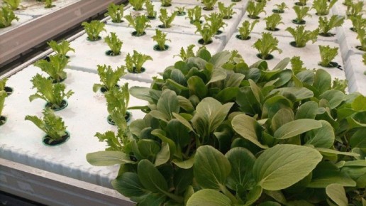 ��������� �� ������� ����������� ���������� �������