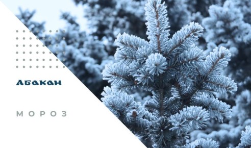 � ���������������� ������ ���������� ������� (������) 17-21 ������ ��������� ���������-�������� ������, �������������� ����������� ������� ���� ������������� ����� �� 12� � �����