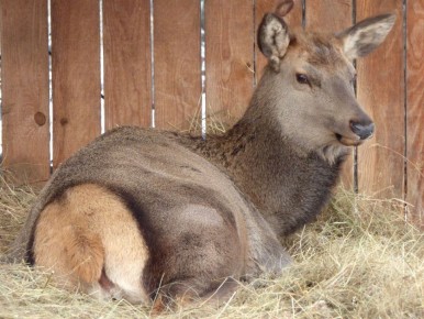 �������� ����� ����������, �������� � ������� ��������, ������� ���������� �������