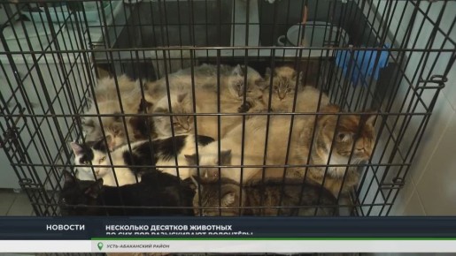 � ����-���������� ������ ������ ����� ��� ��������