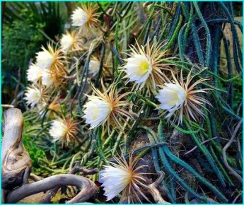 ��� ����� ������ ����?