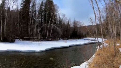 ��������� ������������ ������������ �������� ���� � ��������� ������