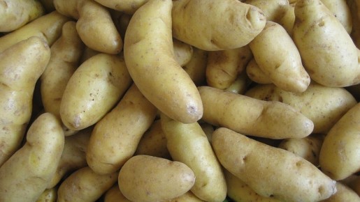 ��� ������� ��������� ��� ��������� ������ � 2026 ����