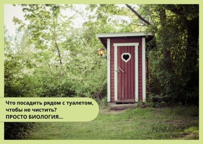 �������� ������ ������� �������: ��� ��������� ������� ������ � ������� ������ ����������