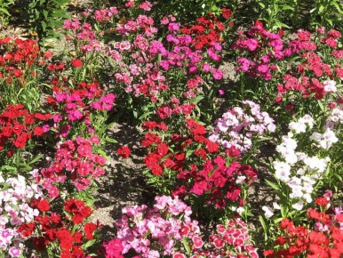 ��� ��� �����: 5 ��������� �������� ��� ������ �������