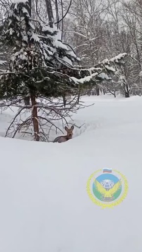 �������� ����� ���� ������� ����� � ���������� ����� �������� � ������������ ����