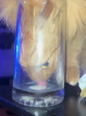 ������ ����, �������!. �� �������� ������� �� �������� ���� � ��������� ���� �����