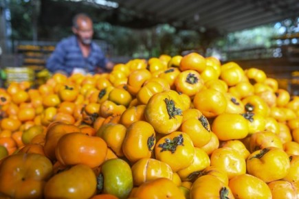 ������� �����, ������� ������� ��������� ����