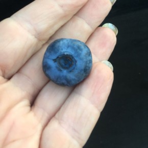 �������� � ����: ������� ��������� ����������� �� ������ �������� �� ����� ������� ���