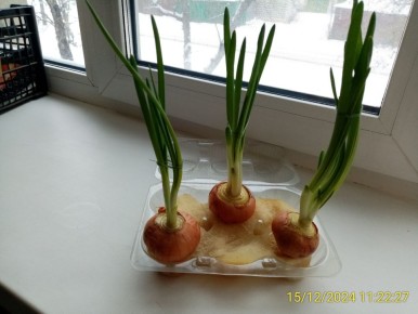 ����� � ������ � �����������