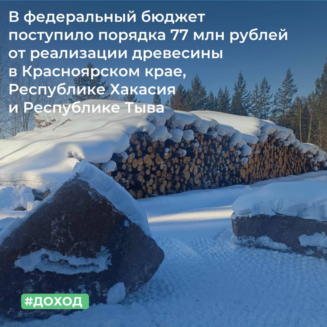 МТУ Федерального агентства по управлению государственным имуществом в Красноярском крае, Республике Хакасия и Республике Тыва за 2025 год реализовало 582 359 кубометров древесины, которая получена при использовании лесов...