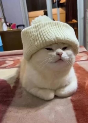 ������ ����, �������! ��������� � �������!