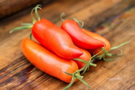 Томат Сердце борова: лакомство с непревзойденным вкусом и уникальной формой