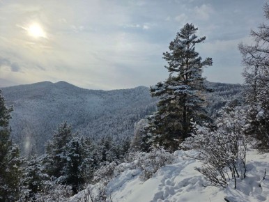 ���������� ����� ���������� �� ��������� ������� � ��������������� ������ ���������: �� ���������� �����-���������� ����������� ������������� ��������� ���� �� ����� ��������������� � ������� ������ ������