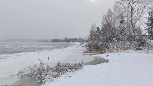 ��������� ������ ���� � ���� ������ �� ��������� ����������� �������