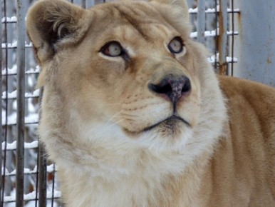 Всех студентов и Татьян с праздником!!!