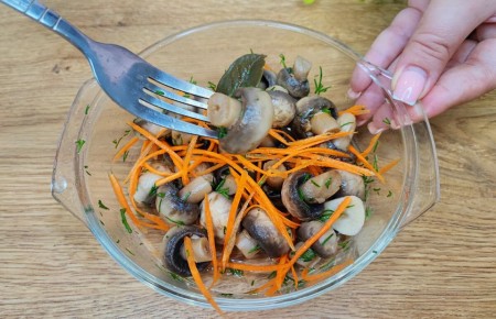 ��� ������ ������������ �����: ������ ������ ��� ����������� �����