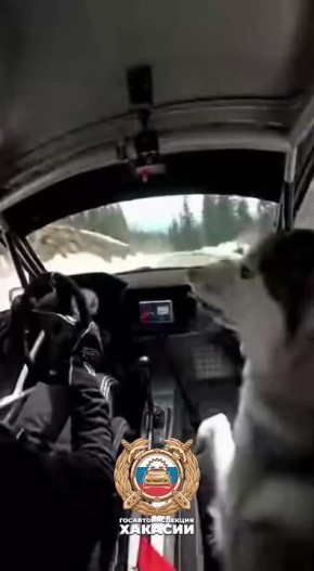 ���������� ���������� �����