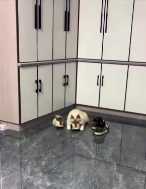 ������ ����, �������!. �������� ����� ������� ������