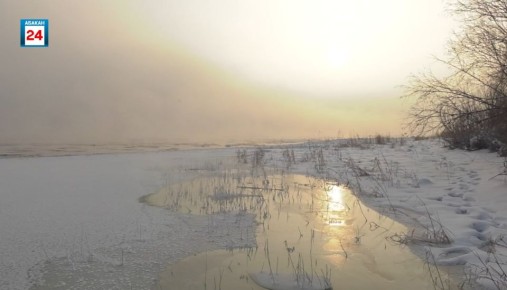 ���� � ���� ������ ����� ��������� �� ������� �������