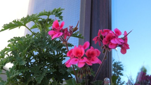 ����� ���� ��������� �������� ������ ������ ���� �����������������?