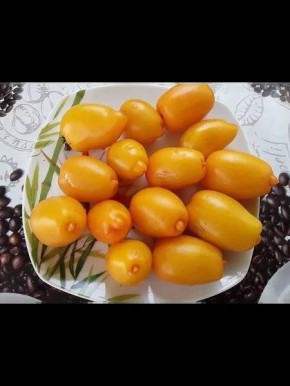 �����, ������� ������� ��� ������: ���� ��������� ��������