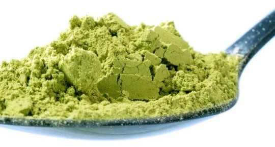 ������� �������: ������ ����� ����������� ���