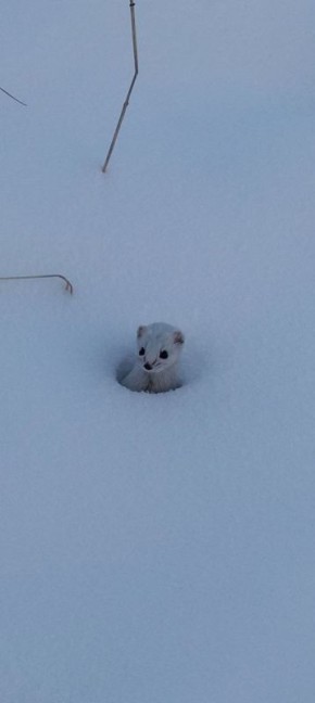 ������� ����� �������� � ���������� ���� ������