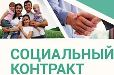 Как работает социальный контракт на личное подсобное хозяйство и кто может получить до 200 тысяч