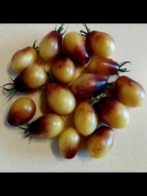 ����� ��������� �����: ��������� ���� � ����������� ��������� ���������