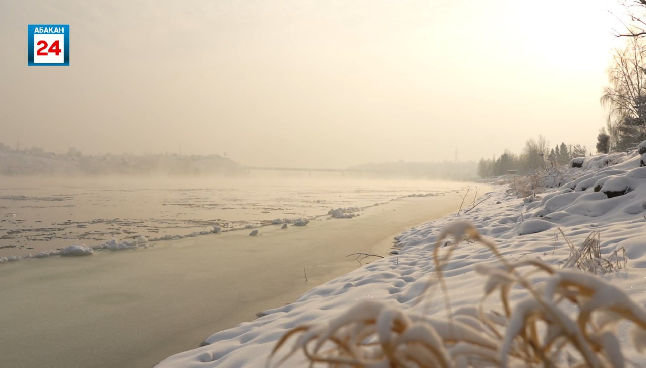 Режим повышенной готовности введен в Бограде