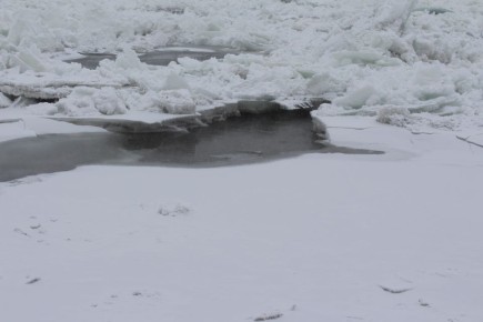 В связи с продвижением кромки льда вверх по течению р. Енисей 28-29 января продолжится рост уровня воды в районе гидропоста «Подсинее»