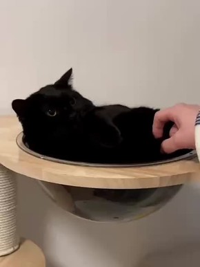 ������ ����, �������!