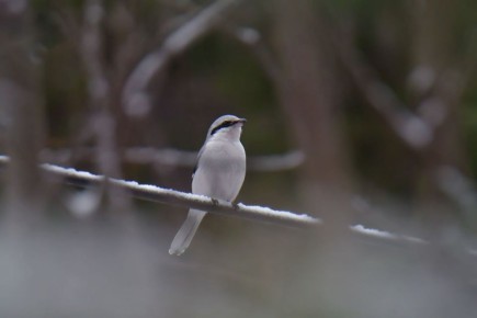 ������ �������: ������ ���������� ������� �� 30 ��� ���������� �������� � ������������ ����� ���������� ��� � ������ ����