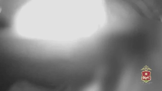 ������ �� ���������: ��������� ������ ����� �� �����������