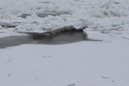 � ����� � ������������ ������ ���� ����� �� ������� �. ������ 29-30 ������ ����������� ���� ������ ���� � ������ ���������� ���������