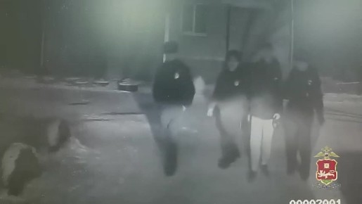 17-летний абазинец, приехавший в Абакан к другу, избил и ограбил прохожего- ему понравились его наушники