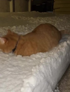 Доброе утро, Хакасия!. Сегодня пятница, плюс стало тепло - неплохой задел на предстоящие выходные!