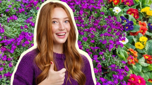 ������ ��� �����������: ��� �������� ������ ����� �������� ����