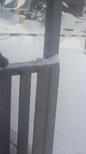 ������� ������ �������� � ����� � ����������� ���������� �����������