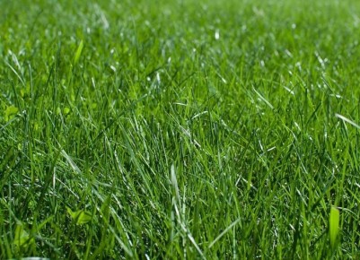 ����� ���� ������������ �������������: �������� �������� ��� ������ ������