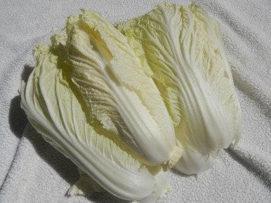 ������� ��������� ����� ��������� �������: �� ������ �� �����