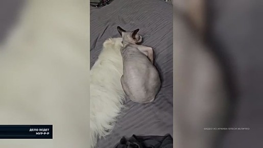 ���������, �� ���������� - � ��������� "���� ��Ĩ� ���-�-�"