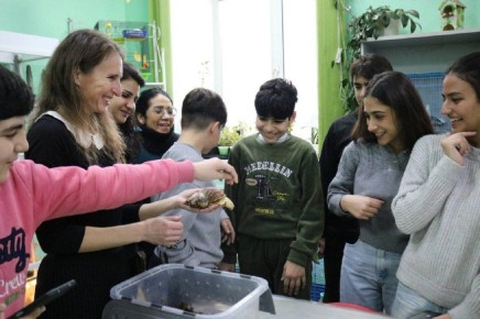 �����������, ����������� ���� ��������� ��������, ������ � �������